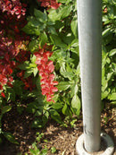 Verkehrsschild mit Exenter im Grünen